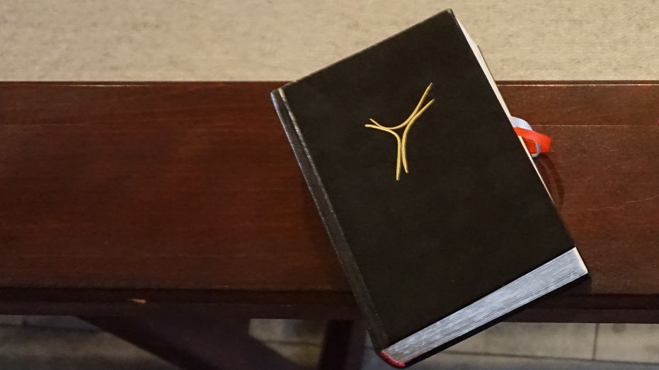 Gespräch mit dem Pfarrer - St. Maria, Niederdorfelden/Gronau